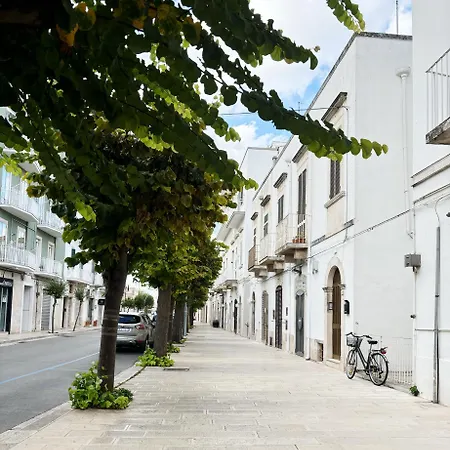 Appartamentino Comodo דירה נוצ'י